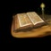 Arabic Bible